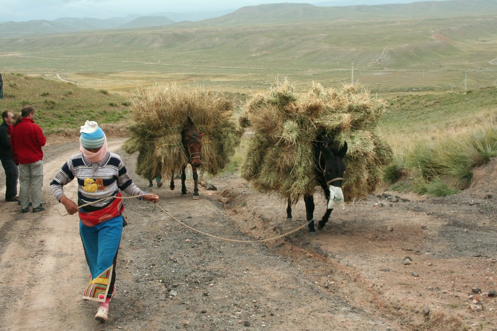 28-The harvest is brought in.jpg - The harvest is brought in